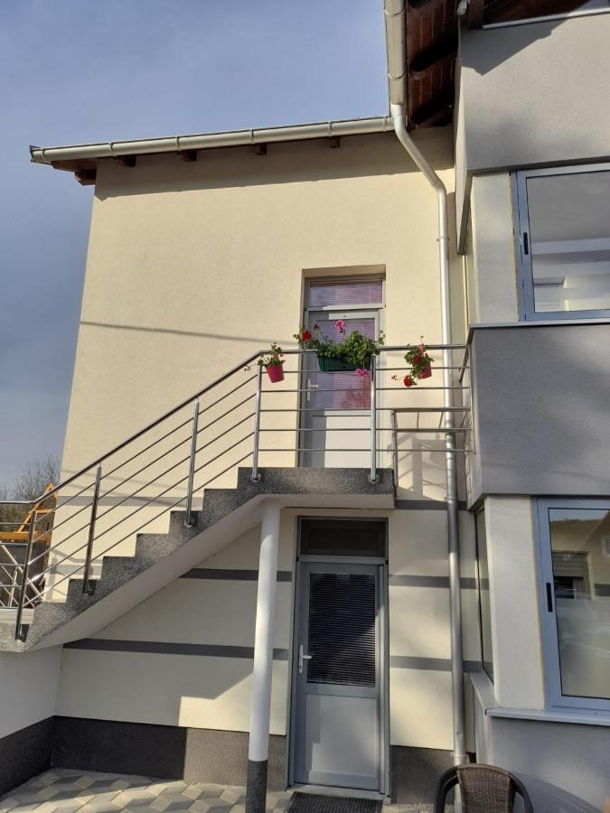 Apartmani Lotus Vrdnik Eksteriør billede
