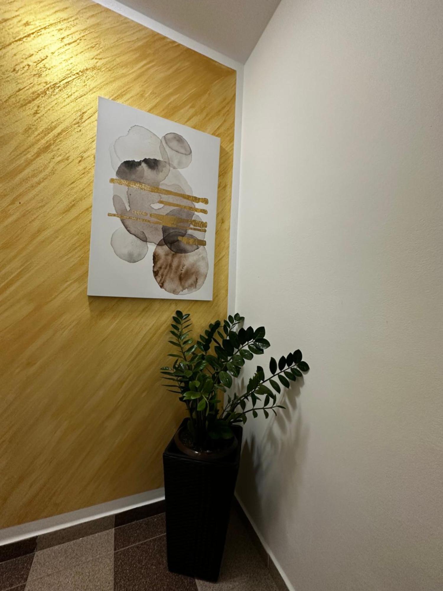Apartmani Lotus Vrdnik Eksteriør billede
